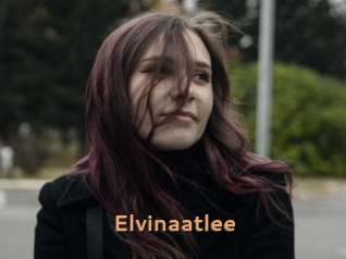 Elvinaatlee