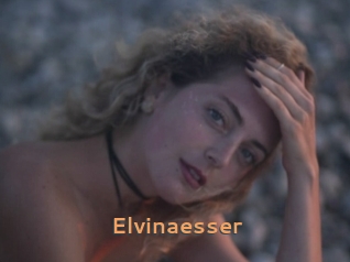 Elvinaesser