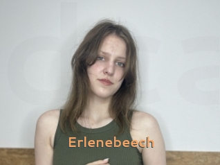 Erlenebeech