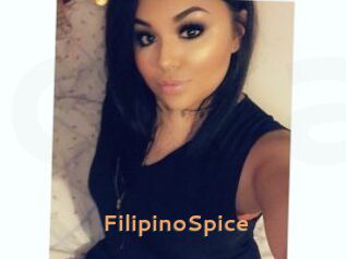 FilipinoSpice