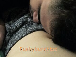 Funkybunchtsc