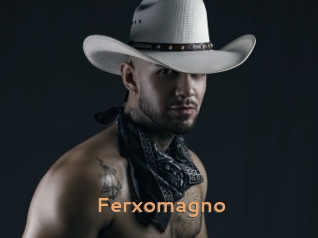 Ferxomagno