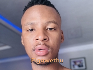 Figowethu