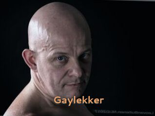 Gaylekker