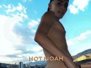 HOT_NOAH