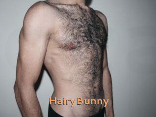 HairyBunny