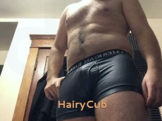 HairyCub