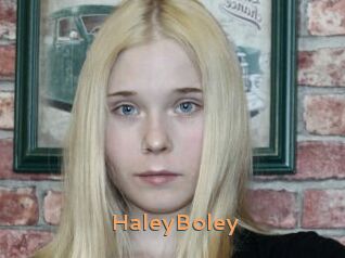 HaleyBoley