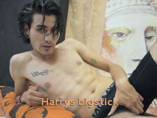 Harrys_bigstick