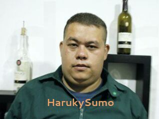 Haruky_Sumo