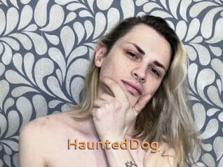 HauntedDog