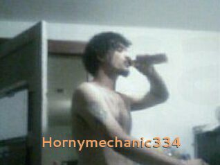 Hornymechanic334