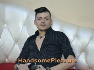 HandsomePleasure