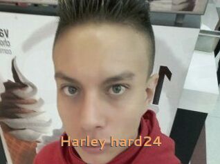 Harley_hard24