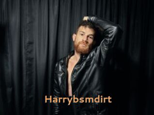 Harrybsmdirt