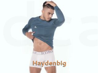 Haydenbig