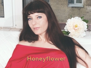 Honeyflower