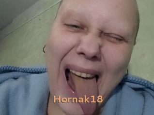 Hornak18