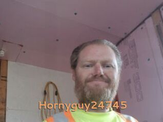 Hornyguy24745