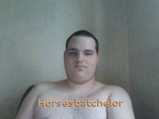 Horsesbatchelor