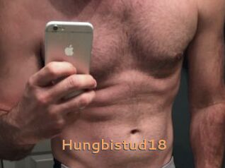 Hungbistud18