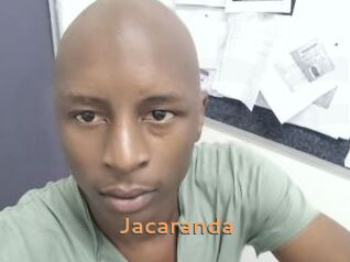 Jacaranda