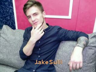 JakeSulii