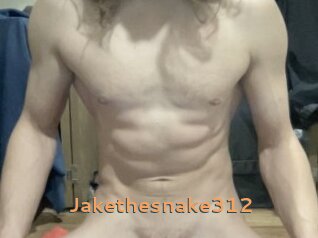 Jakethesnake312