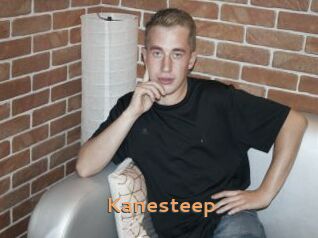 Kanesteep