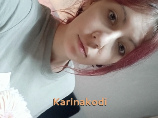 Karinakodi