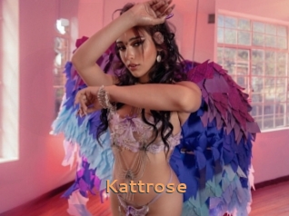 Kattrose