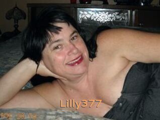 Lilly377