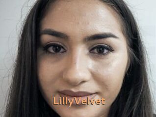 LillyVelvet