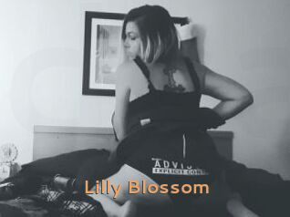 Lilly_Blossom