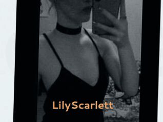 Lily_Scarlett