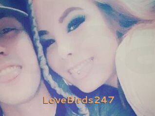 LoveBirds247