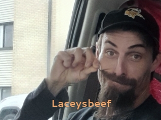 Laceysbeef