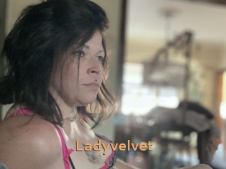 Ladyvelvet