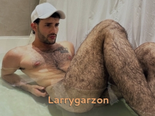 Larrygarzon