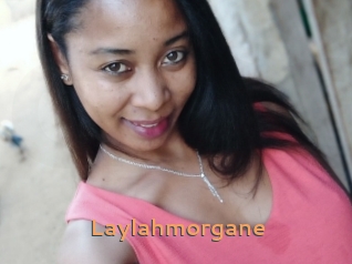 Laylahmorgane