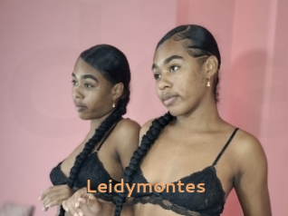 Leidymontes