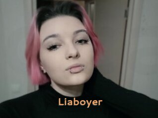 Liaboyer