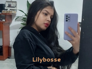 Lilybosse