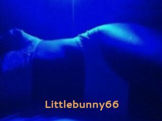 Littlebunny66