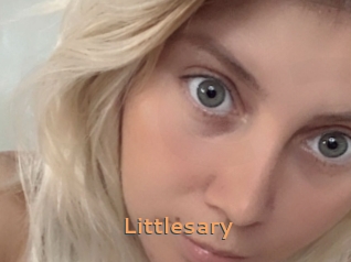 Littlesary