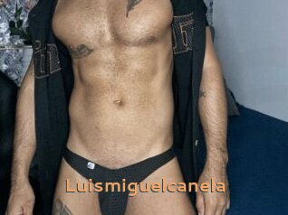 Luismiguelcanela