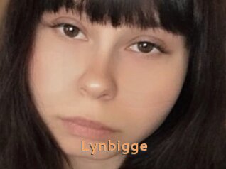 Lynbigge