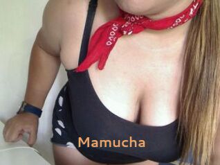 Mamucha