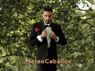 MateoCeballos