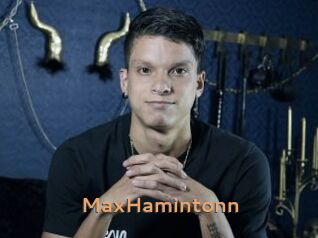 MaxHamintonn